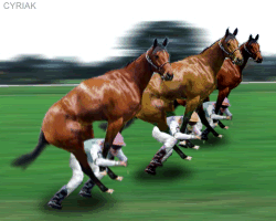 index_image1028.gif