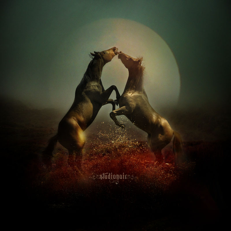 Horses_at_Dusk_by_luciferous_glow.jpg