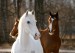 The_horses_by_Imitjdesajn.jpg